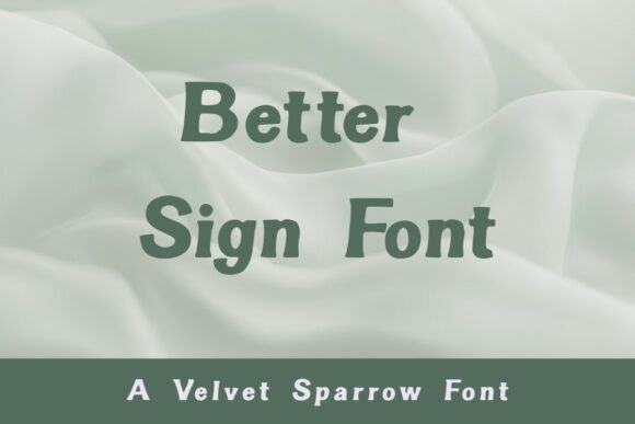 Better Sign: A Friendly, Bold Sans Serif for Real Branding Work